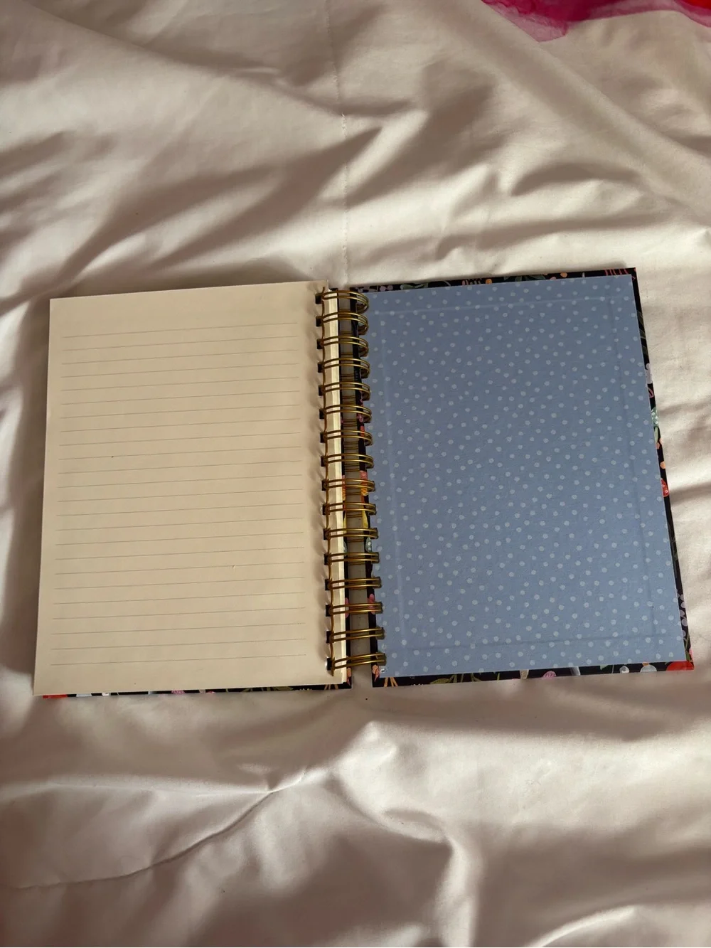 Cottage core whimsy mushroom notebook